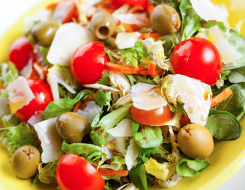 Close-up of salad in plate