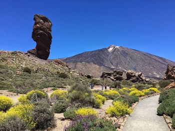 Scenic view of landscape against clear blue sky