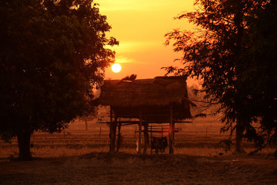 Thatched roof on field during sunset