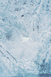 Full frame shot of snow covered window