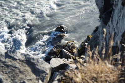 High angle view of rocks in sea