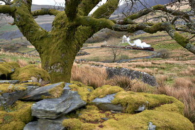 Stream flowing through rocks