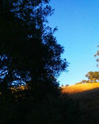 Low angle view of silhouette trees against blue sky