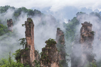 Zhangjiajie mountains in wulingyuan national park, hunan - china