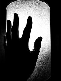 Close-up of silhouette hand
