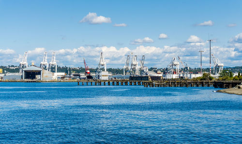 A view of cranes along the docks in the port of seattle.
