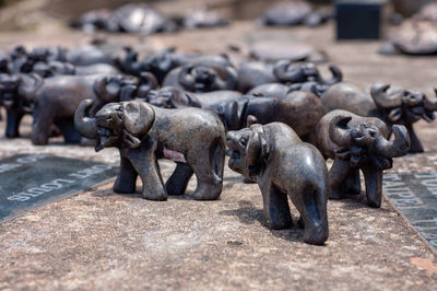 View of elephant statue