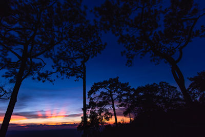 Low angle view of silhouette trees against sky during sunset