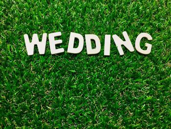 High angle view of text on grass