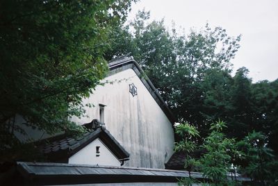 tree