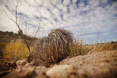 Hay bales on field against sky