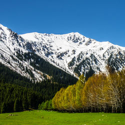 Scenic view of snowcapped mountains against clear sky