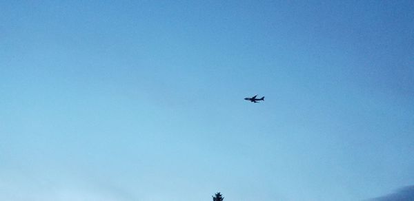 Low angle view of airplane flying in sky