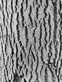 Full frame shot of sand