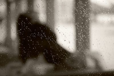 Close-up of water drops on glass