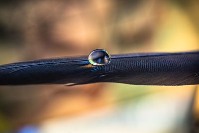 Close-up of water drop on metal