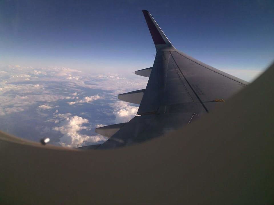 CROPPED IMAGE OF AIRPLANE FLYING OVER LANDSCAPE