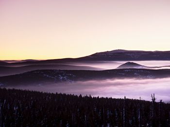 Winter cold weather in mountains. misty valley. peaks of mountains above creamy mist.