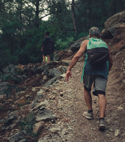 Senior man climbing up the path in the forrest. image of a hiker from the back in the nature.