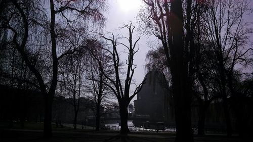 Bare trees against sky