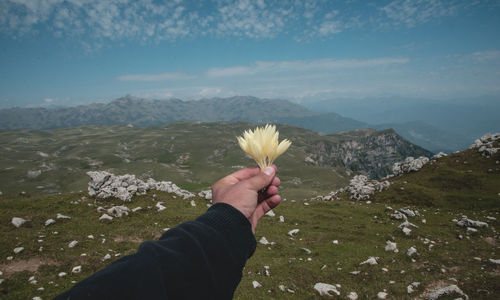 Cropped hand holding flowers over mountains