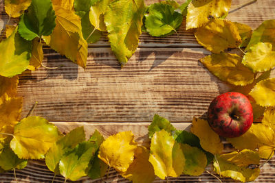 Close-up of fresh fruits and leaves on table