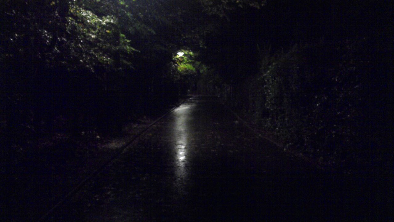 the way forward, night, diminishing perspective, illuminated, vanishing point, transportation, tree, walking, tunnel, road, dark, street, silhouette, rear view, street light, unrecognizable person, full length, lighting equipment