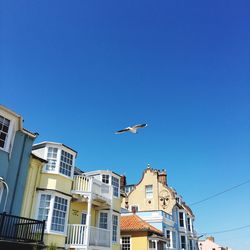 Low angle view of seagulls flying against buildings