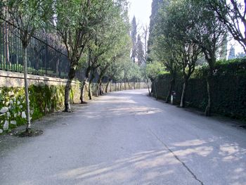 Empty road along trees in park