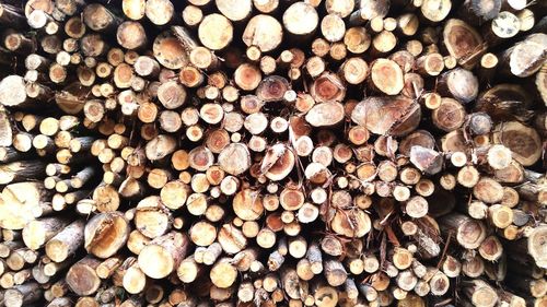 Full frame shot of logs