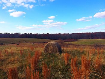 Hay bale on countryside landscape