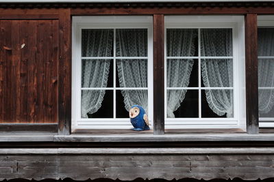 Full length of a man looking through window in house