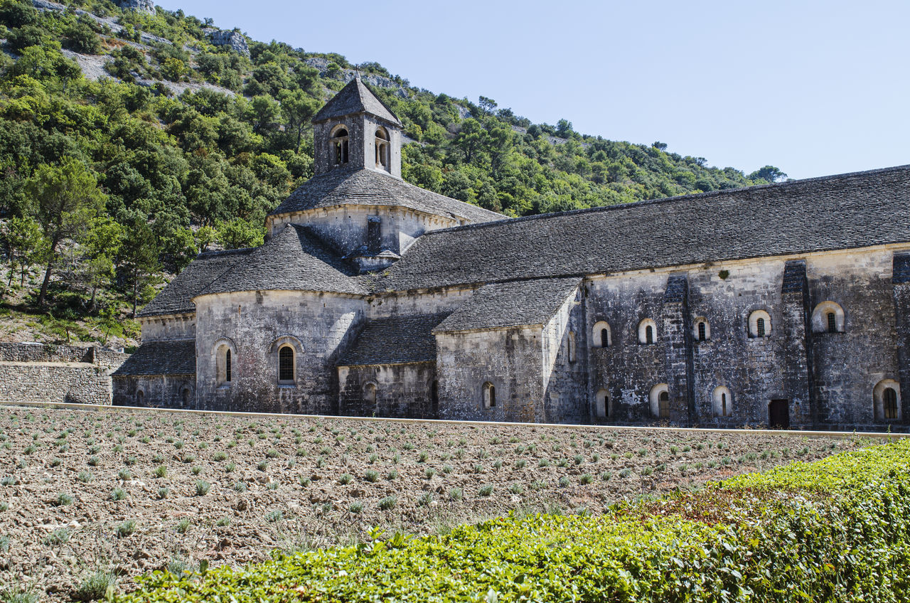 architecture, built structure, plant, building exterior, sky, place of worship, religion, the past, tree, history, nature, building, day, no people, belief, spirituality, clear sky, travel destinations, travel, outdoors