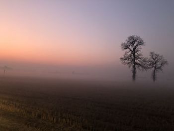 Scenic view of field against sky during sunset