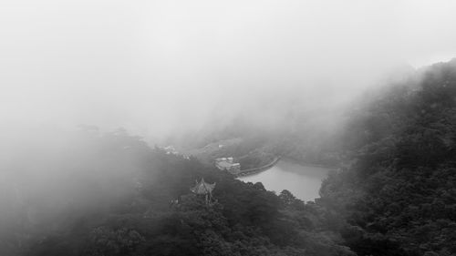 High angle view of trees on mountain during foggy weather