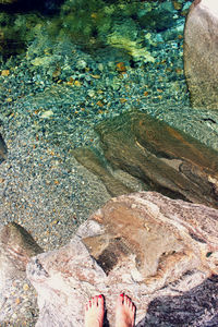 Low section of woman standing on beach