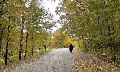 Rear view of man walking on road amidst trees