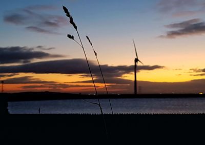 Silhouette plants by sea against sky during sunset