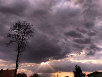 Low angle view of silhouette trees against dramatic sky