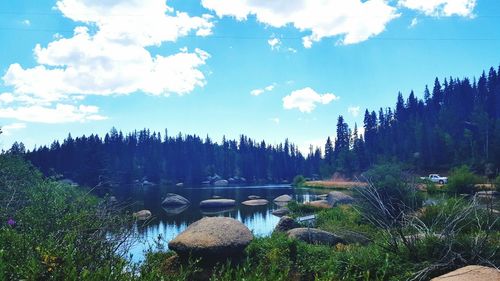 Reflection of trees in calm lake