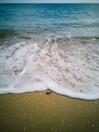 Scenic view of sea shore against sky