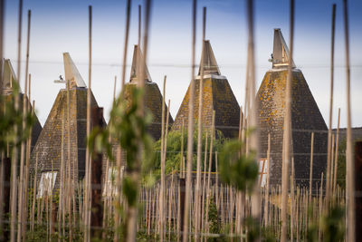 Low angle view of wine bottles against sky