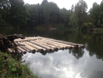 Reflection of trees in lake