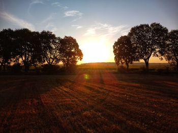 Silhouette trees on field against sky during sunset