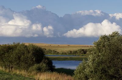 Scenic view of trees by lake against sky