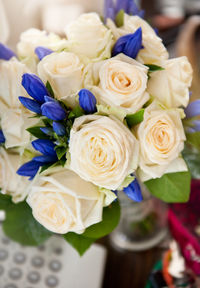 Close-up of pink roses