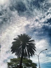 Low angle view of coconut palm tree against sky