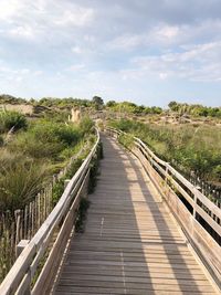 Empty boardwalk along plants and trees against sky