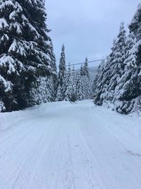 Snow covered road amidst trees against sky