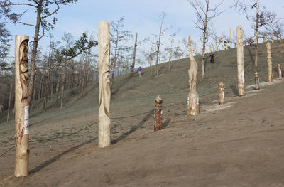 View of bare trees on sand